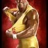 wwe2k14 artworks hulk hogan