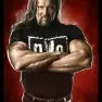wwe2k14 artworks kevin nash nwo