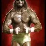 wwe2k14 artworks randy savage