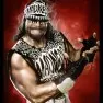 wwe2k14 artworks randy savage nwo
