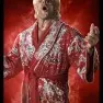 wwe2k14 artworks ric flair retro