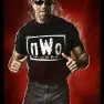 wwe2k14 artworks scott hall nwo