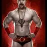 wwe2k14 artworks sheamus