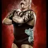 wwe2k14 artworks tensai