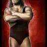 wwe2k14 artworks the giant