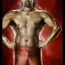 wwe2k14 artworks the great khali