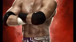 WWE 2K14 Artworks