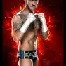 wwe2k15 artworks cm punk