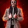 wwe2k15 artworks jimmy hart