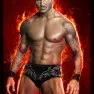 wwe2k15 artworks randy orton hop