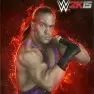 wwe2k15 artworks rob van dam