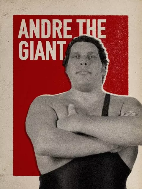 wwe2k17 artworks andre the giant