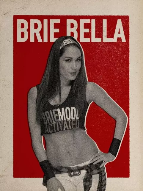 wwe2k17 artworks brie bella