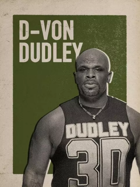 wwe2k17 artworks d von dudley