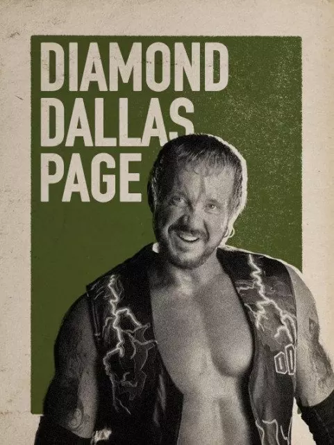 wwe2k17 artworks diamond dallas page