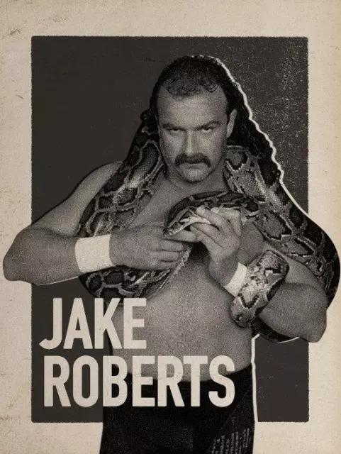 wwe2k17 artworks jake roberts