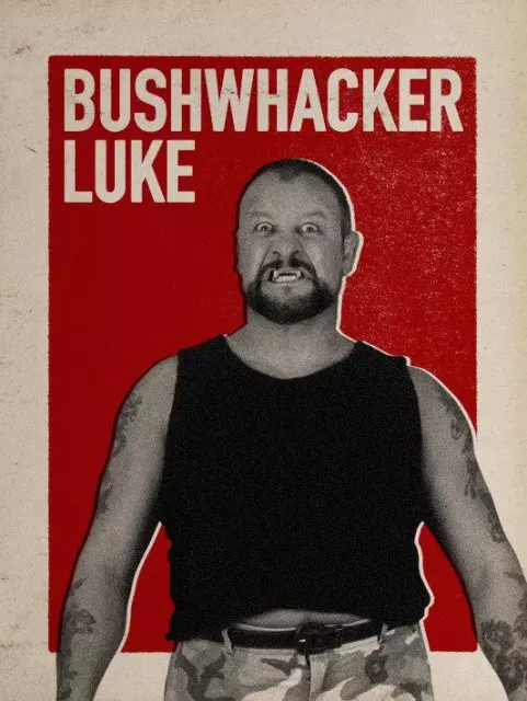 wwe2k17 artworks luke