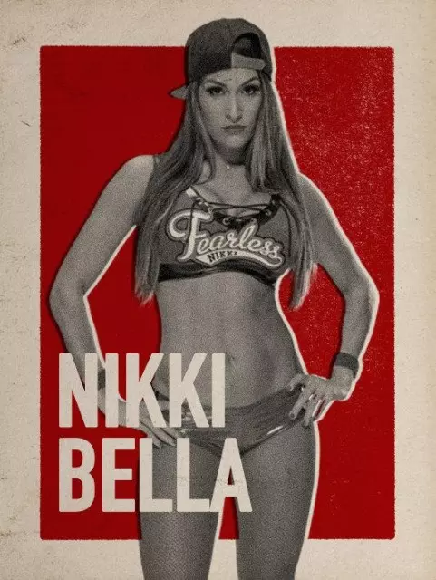 wwe2k17 artworks nikki bella