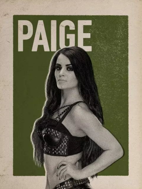 wwe2k17 artworks paige