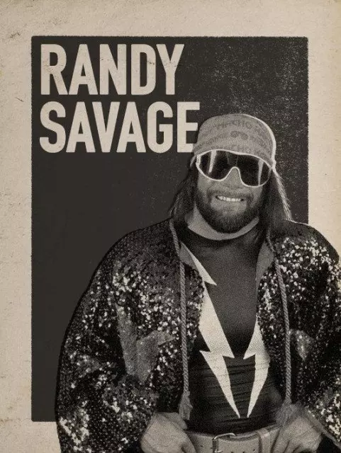 wwe2k17 artworks randy savage