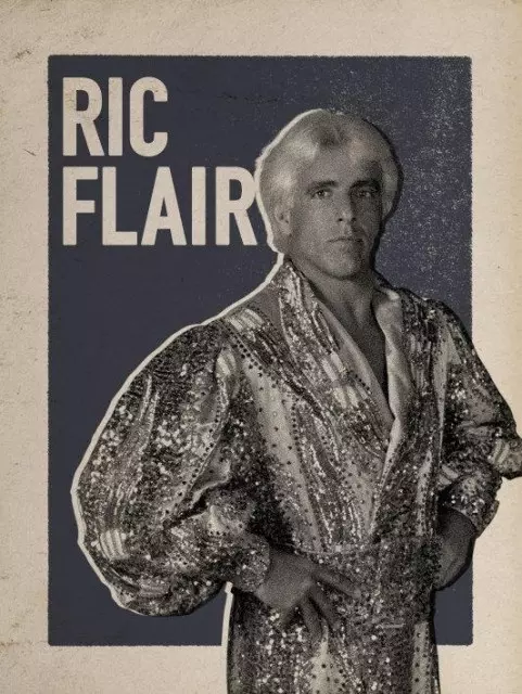 wwe2k17 artworks ric flair