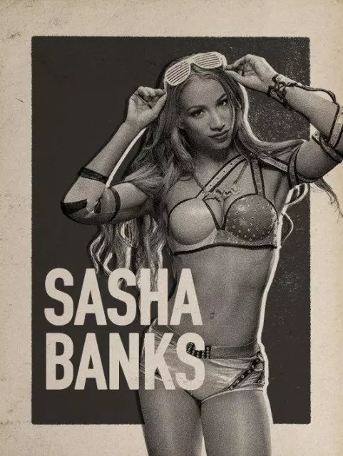 wwe2k17 artworks sasha banks