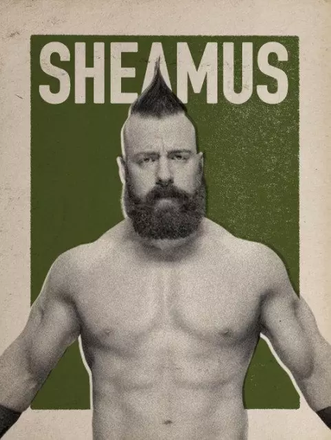 wwe2k17 artworks sheamus