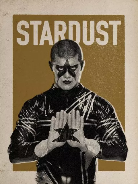 wwe2k17 artworks stardust