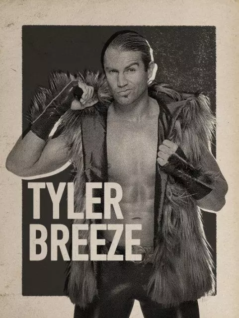 wwe2k17 artworks tyler breeze