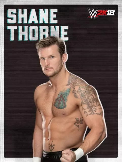 wwe2k18 artworks shane thorne