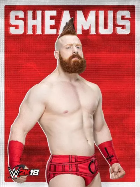 wwe2k18 artworks sheamus