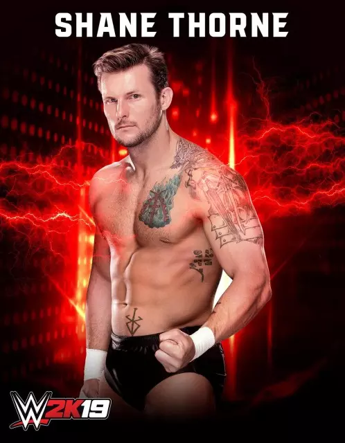 wwe2k19 artworks shane thorne