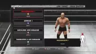 WWE13 LimbTargeting2