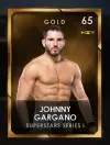 1 superstarseries 3 nxt collectionset4 3 johnnygargano 65