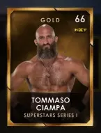 1 superstarseries 3 nxt collectionset4 5 johnnygargano 66