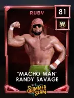 2 premium 13 summersl randysavage 81