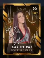 2 premium 2 signatureseriesi collectionset2 9 kayleeray 65