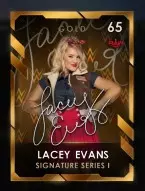 2 premium 2 signatureseriesi collectionset4 6 laceyevans 65