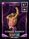 2 premium 22 survivorseries 9 theultimatewarrior 87