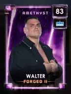 2 premium 24 forgedseriesii collectionset3 5 walter 83