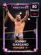 2 premium 24 forgedseriesii collectionset4 8 johnnygargano 80