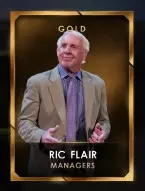4 managers 4 ricflairseries 3 ricflair
