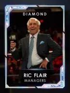 4 managers 4 ricflairseries 8 ricflair