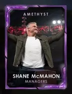 4 managers 6 shanemcmahonseries 7 shanemcmahon