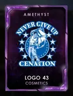 5 customization 1 logos 43 logo