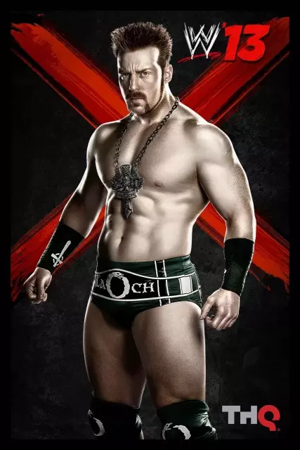 wwe13 artworks sheamus 2