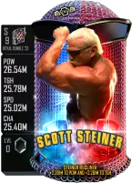 Scott Steiner