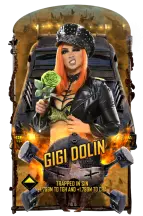 Supercard gigidolin s9 octane3 24592 216