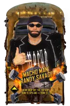 supercard randysavage s9 octane6