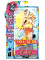 Supercard terrytaylor figure s8 summerslambce 24879 216